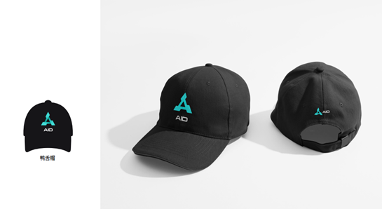 AID Baseball Cap